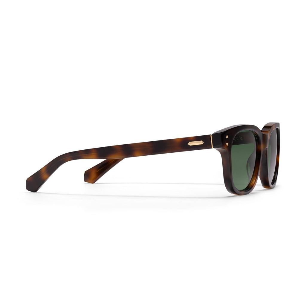 Malibu Round Sunglasses | Tortoise Frame + Green Lens | Non-Polarized - image 5